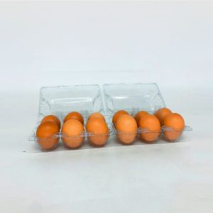 Packaging for eggs with lid, ET 6, for 12 chicken eggs, 2x6 crates, box with 100 egg cartons in transparent plastic, carrier of reusable eggs for display in the commercial market