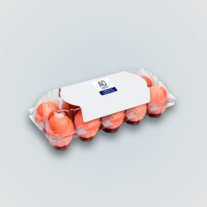 Packaging for eggs with lid, ET 10, for 10 chicken eggs, 1x10 grids, box with 100 egg cartons in transparent plastic, carrier of reusable eggs for display in the commercial market