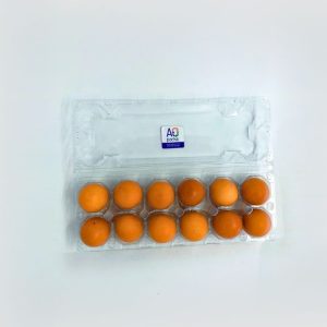 Packaging for eggs with lid, ET 12, for 12 chicken eggs, crates 1x12, box with 100 egg cartons in transparent plastic, carrier of reusable eggs for display in the commercial market
