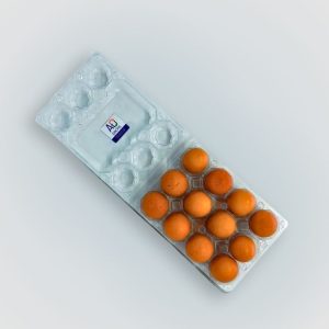 Packaging for eggs with lid, ET 12, for 12 chicken eggs, crates 1x12, box with 100 egg cartons in transparent plastic, carrier of reusable eggs for display in the commercial market