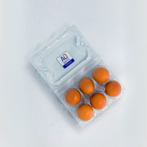 Packaging for eggs with lid, ET 6, for 6 chicken eggs, 1x6 grids, box with 100 egg cartons in transparent plastic, carrier of reusable eggs for display in the commercial market