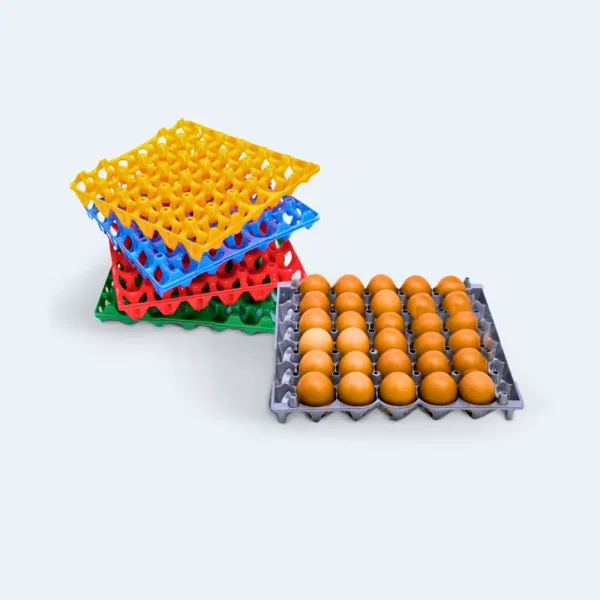 Bandeja de Ovos 1x30 BO30