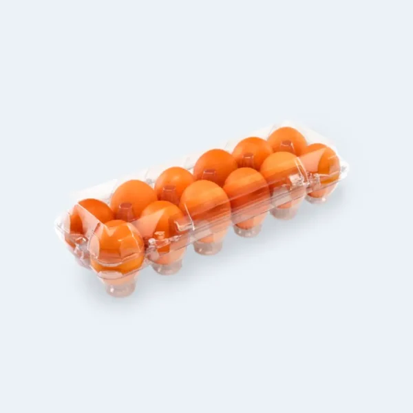 Embalagem para Ovos 1X12  Transparente