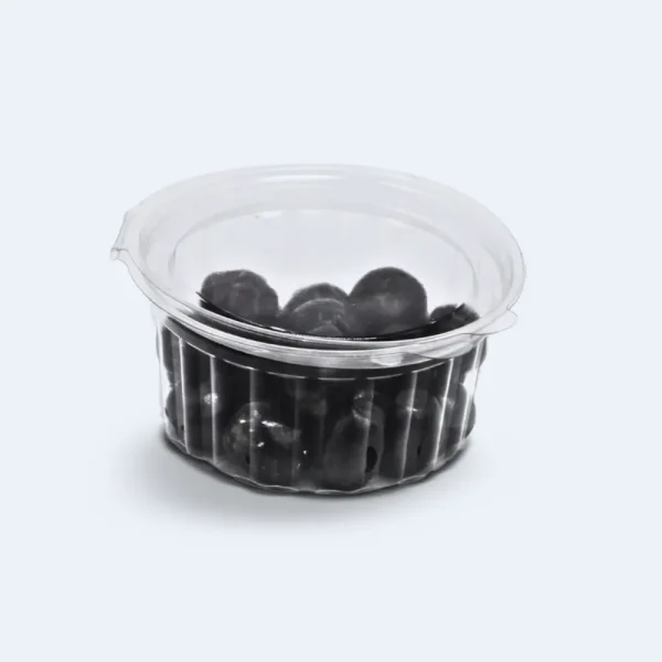 Embalagem Articulada Cristal  AO 210