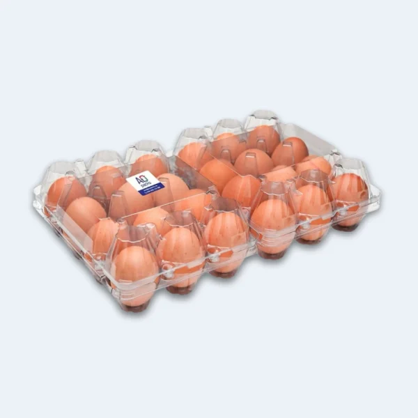 Embalagem para Ovos 2X12 Transparente