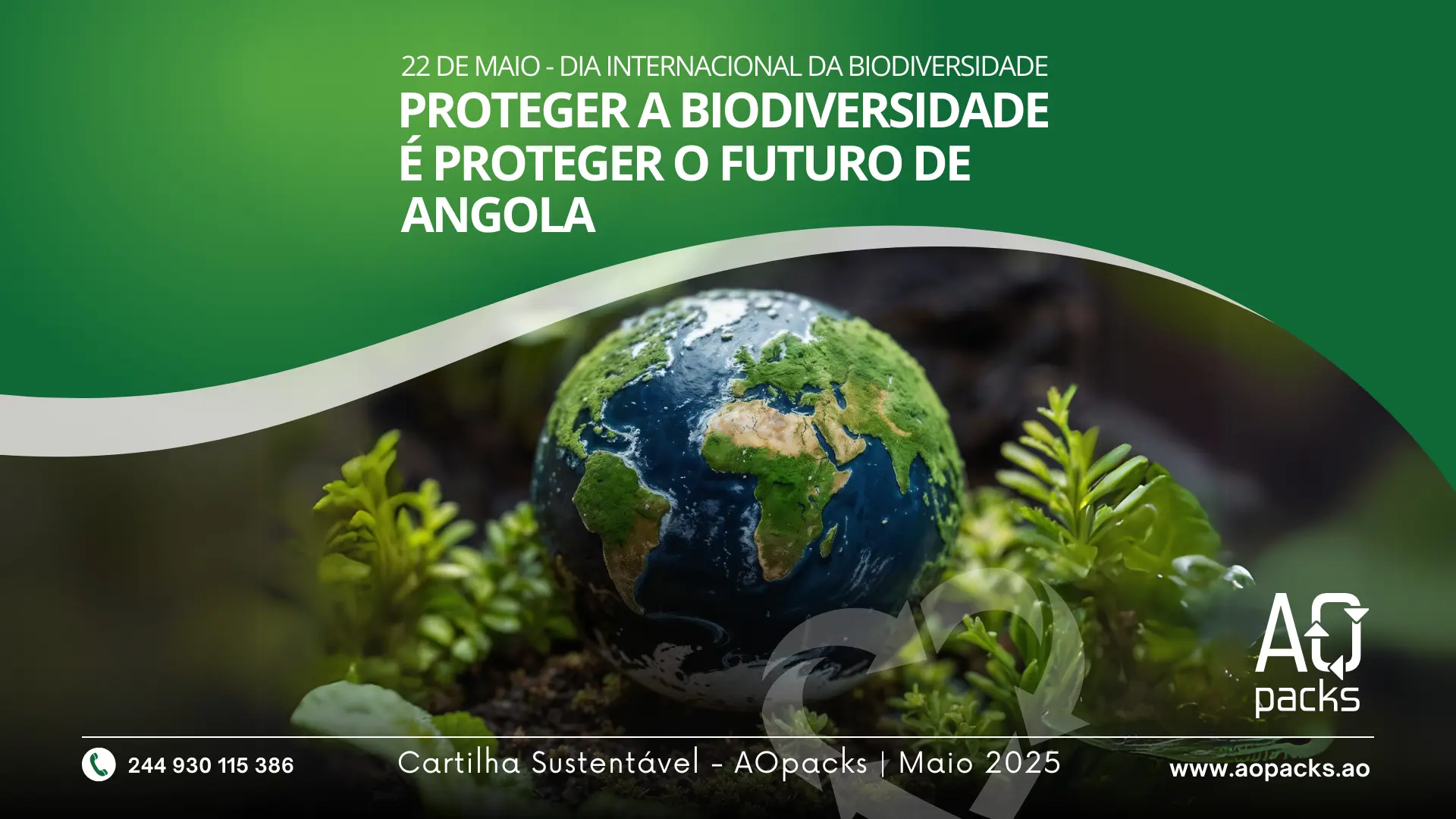 A biodiversidade é a variedade de vida no planeta: animais, plantas, microrganismos e os ecossistemas em que vivem. Em Angola, essa diversidade é essencial para a agricultura, a alimentação, a cultura e a saúde das comunidades.